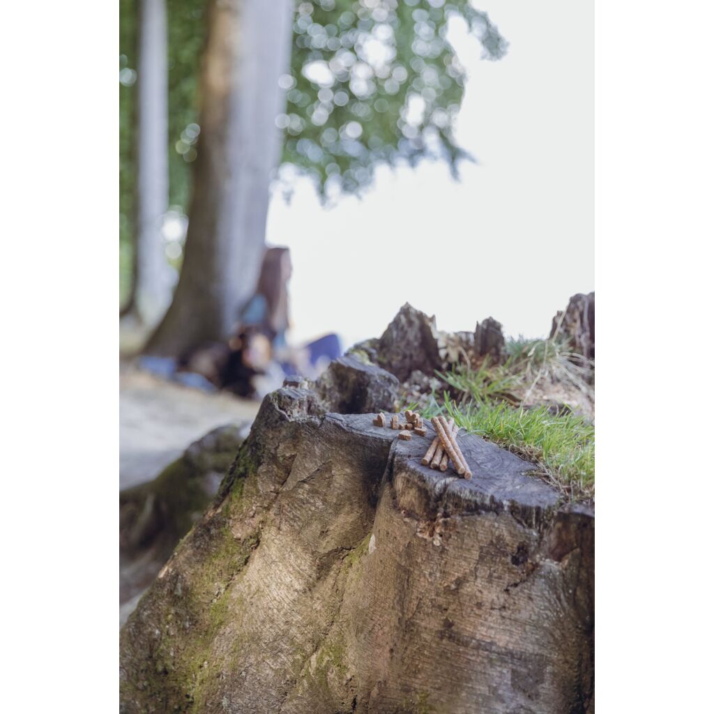 Insect Hearts-Pfoten Feinstes