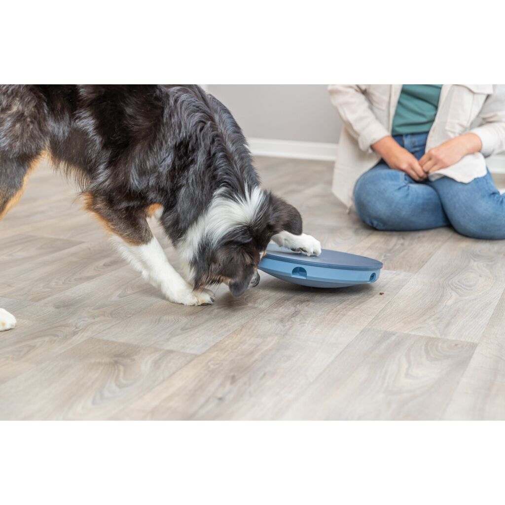 Rocking Maze-Pfoten Feinstes