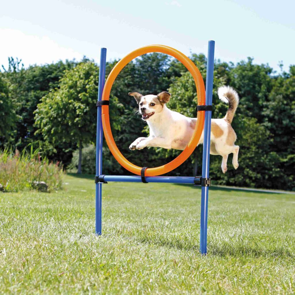 Fun Agility Ring-Pfoten Feinstes