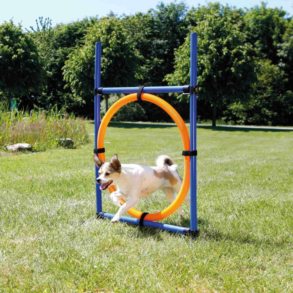 Fun Agility Ring-Pfoten Feinstes