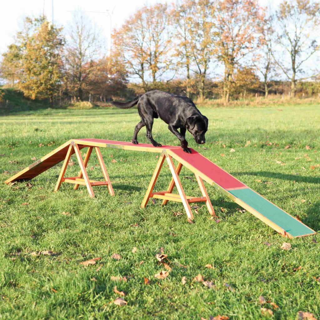 Fun Agility Steg-Pfoten Feinstes