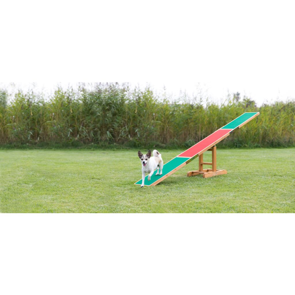 Fun Agility Wippe-Pfoten Feinstes