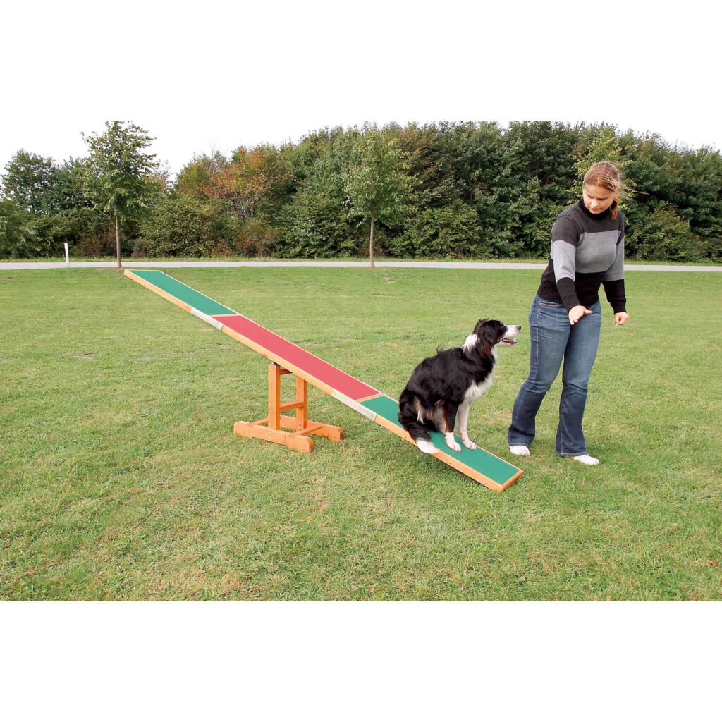 Fun Agility Wippe-Pfoten Feinstes