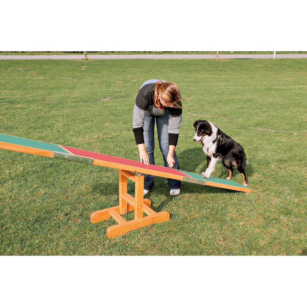 Fun Agility Wippe-Pfoten Feinstes