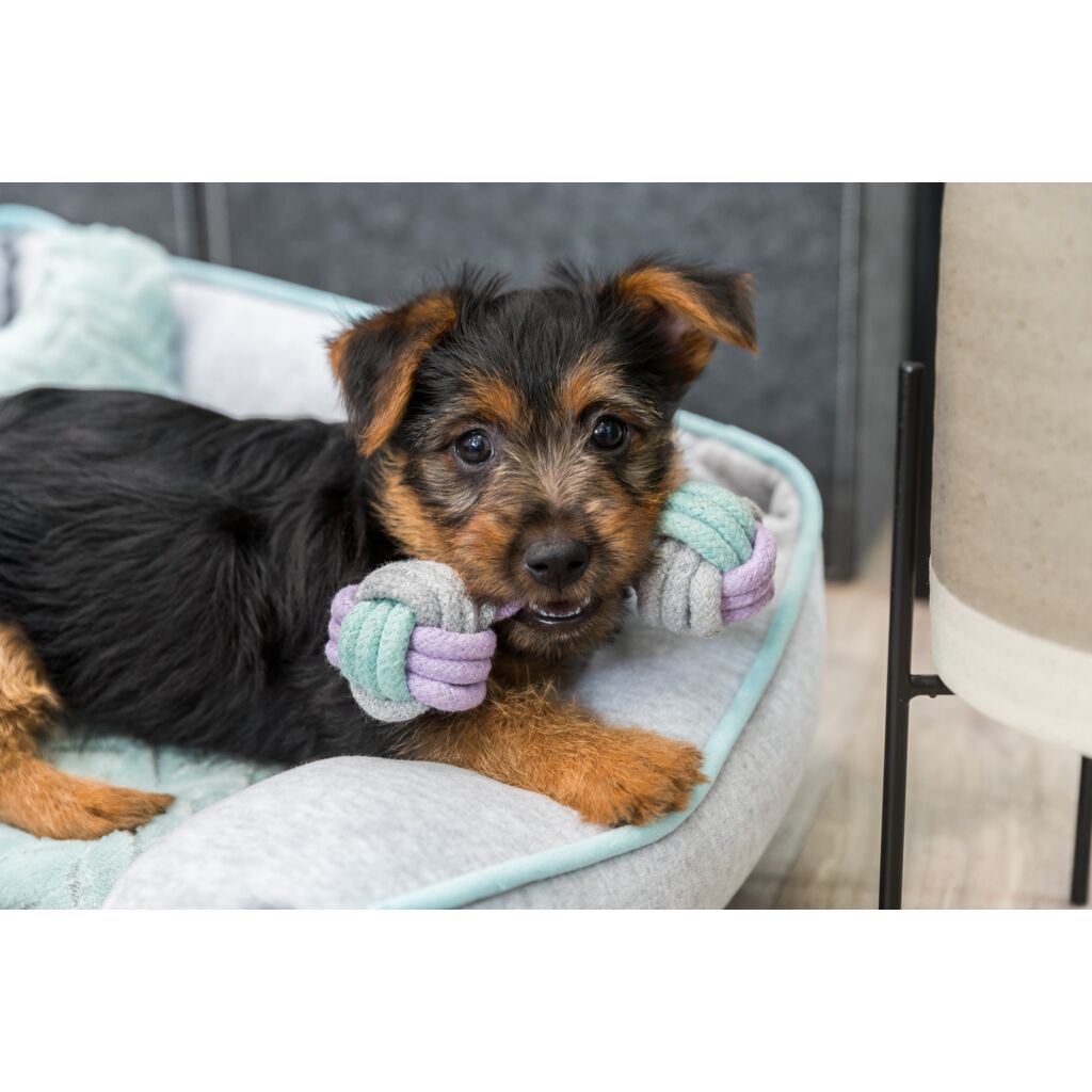 Junior Tau-Hantel-Pfoten Feinstes