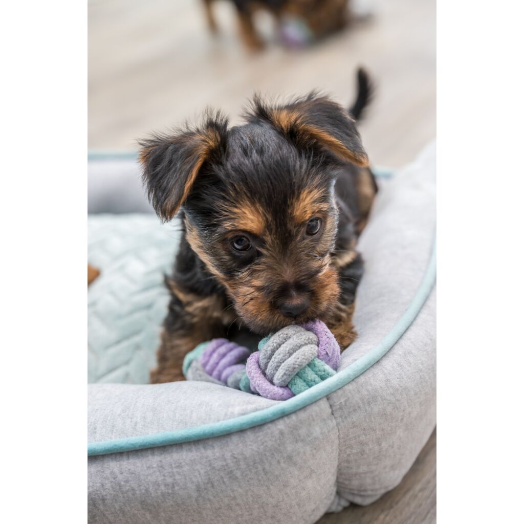 Junior Tau-Hantel-Pfoten Feinstes