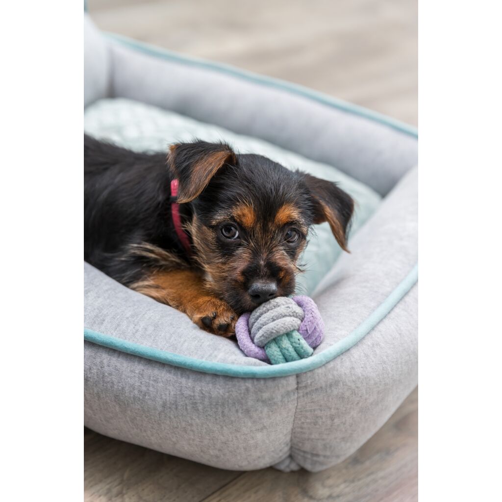 Junior Tau-Hantel-Pfoten Feinstes