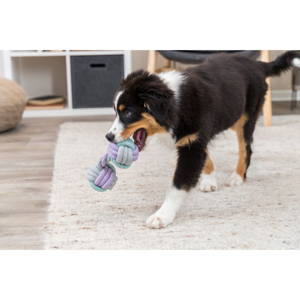 Junior Tau-Hantel-Pfoten Feinstes