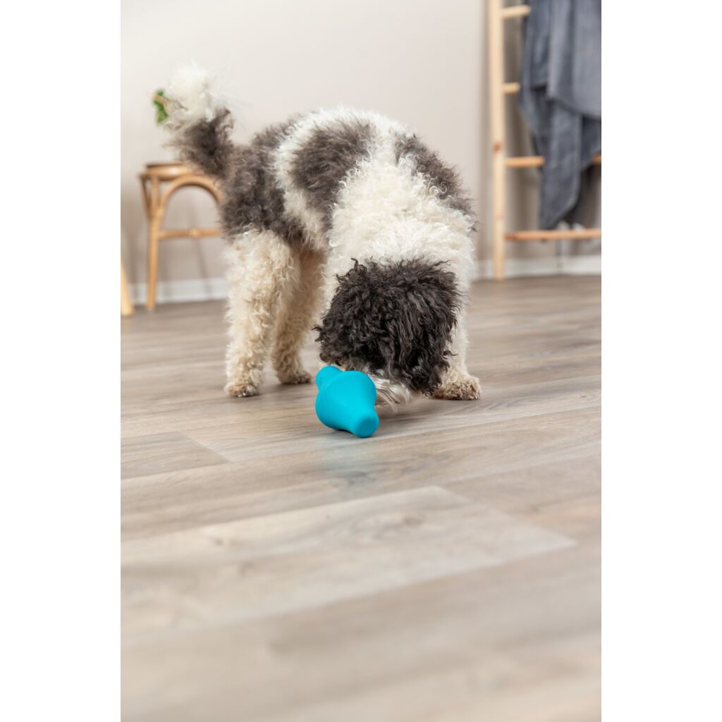 Snack-Kreisel-Pfoten Feinstes