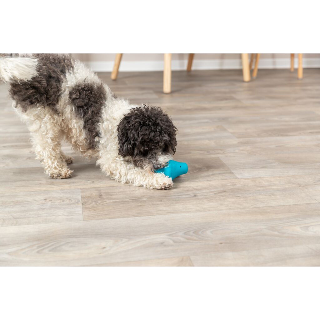 Snack-Kreisel-Pfoten Feinstes