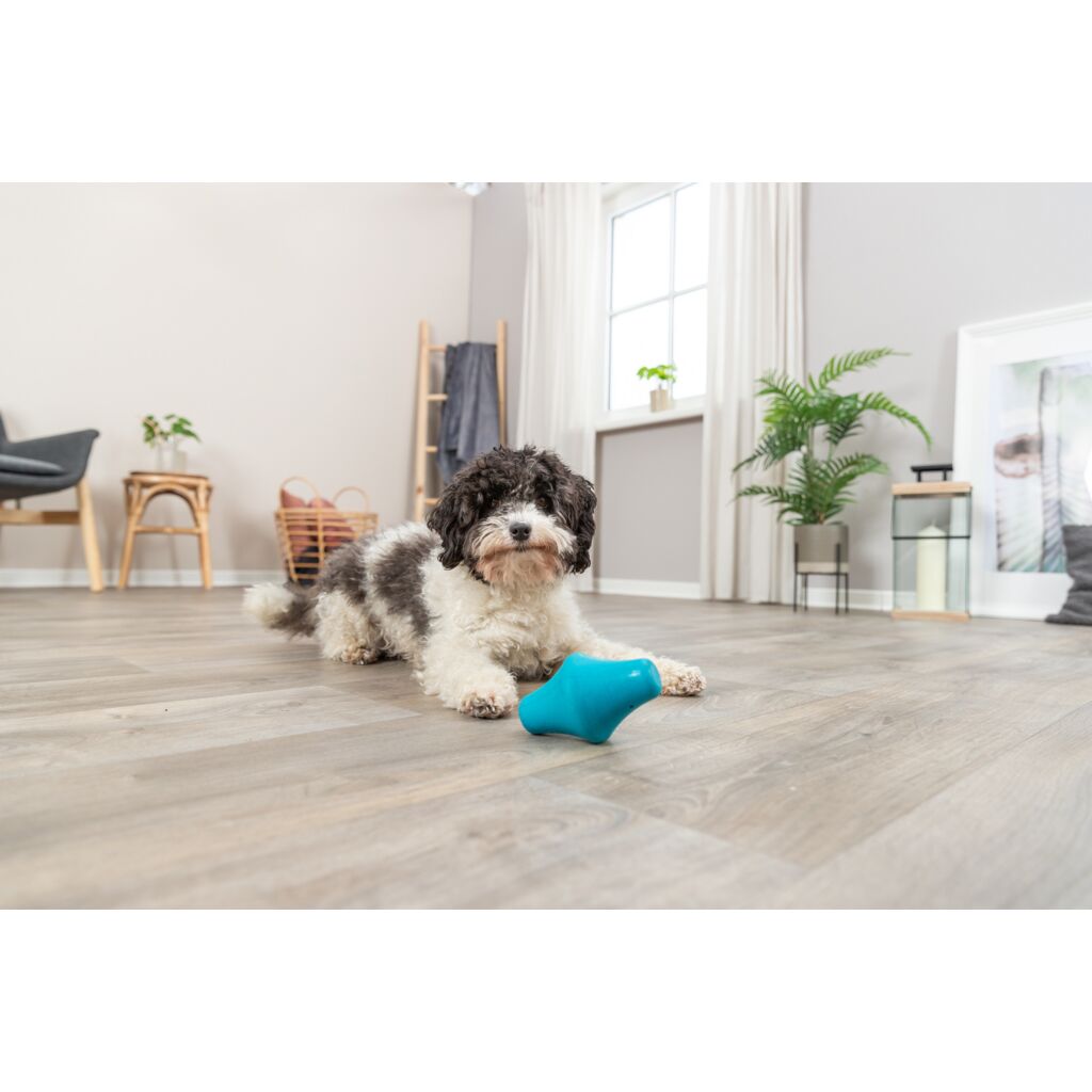 Snack-Kreisel-Pfoten Feinstes