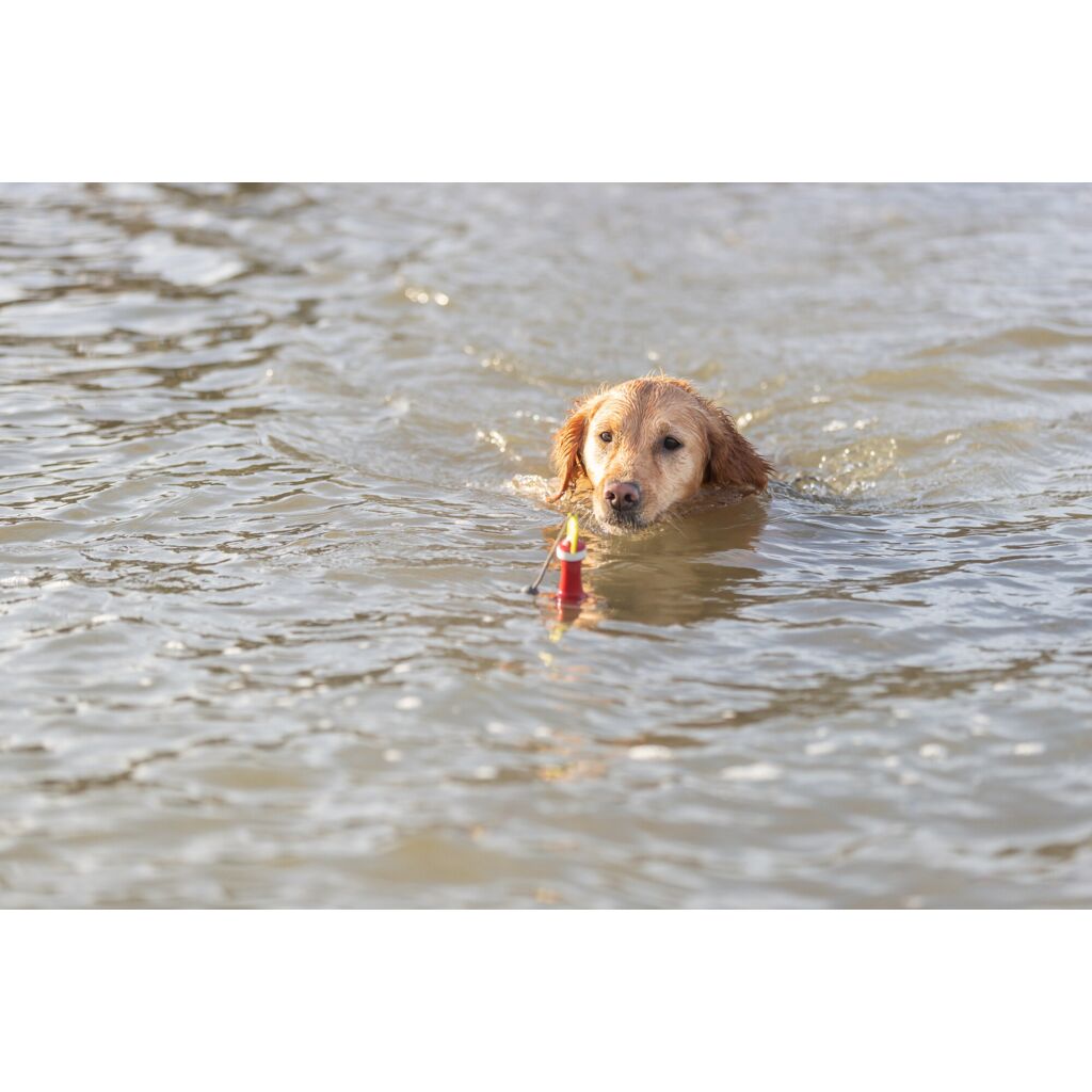 Aqua Toy Snack-Boje am Seil-Pfoten Feinstes