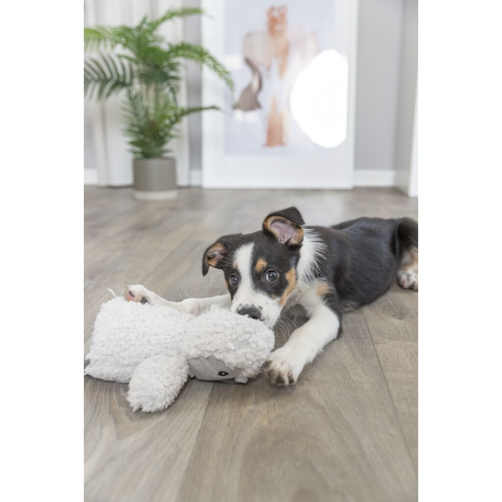 Pinguin-Pfoten Feinstes