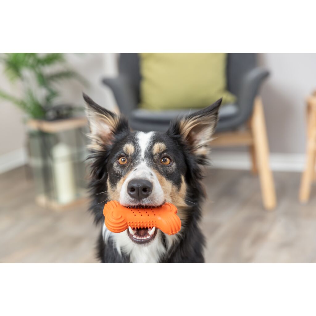 Knister-Knochen Hundespielzeug-Pfoten Feinstes