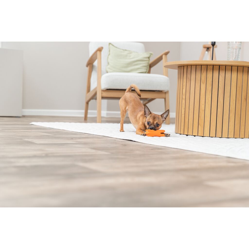 Hundespielzeug Spanferkel-Pfoten Feinstes