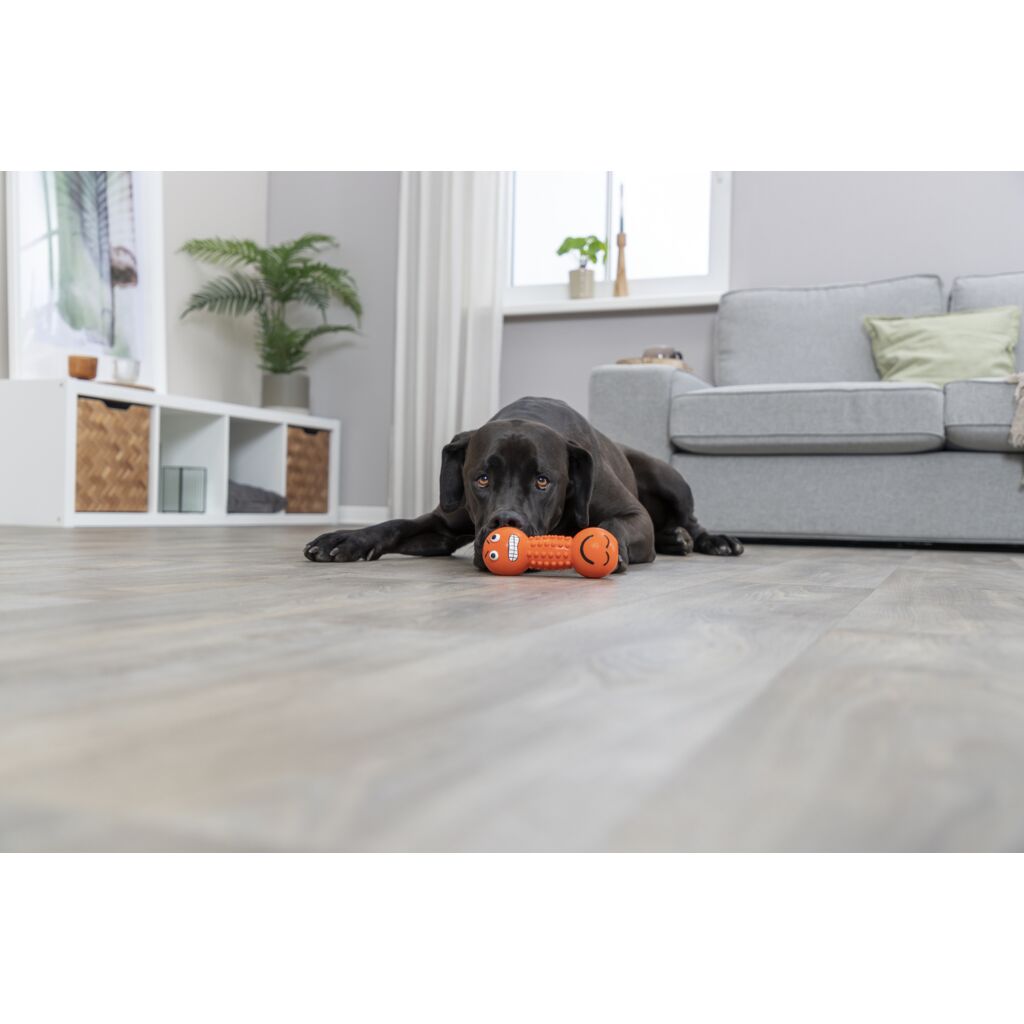 Smiley-Hantel-Pfoten Feinstes