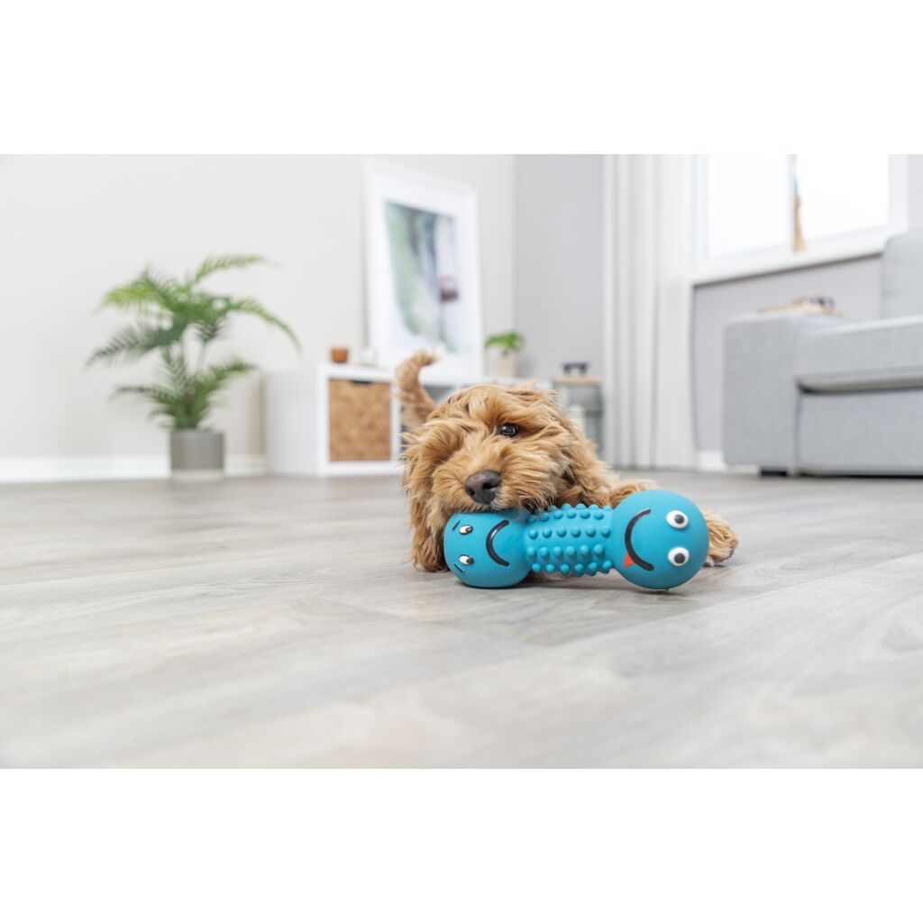 Smiley-Hantel-Pfoten Feinstes