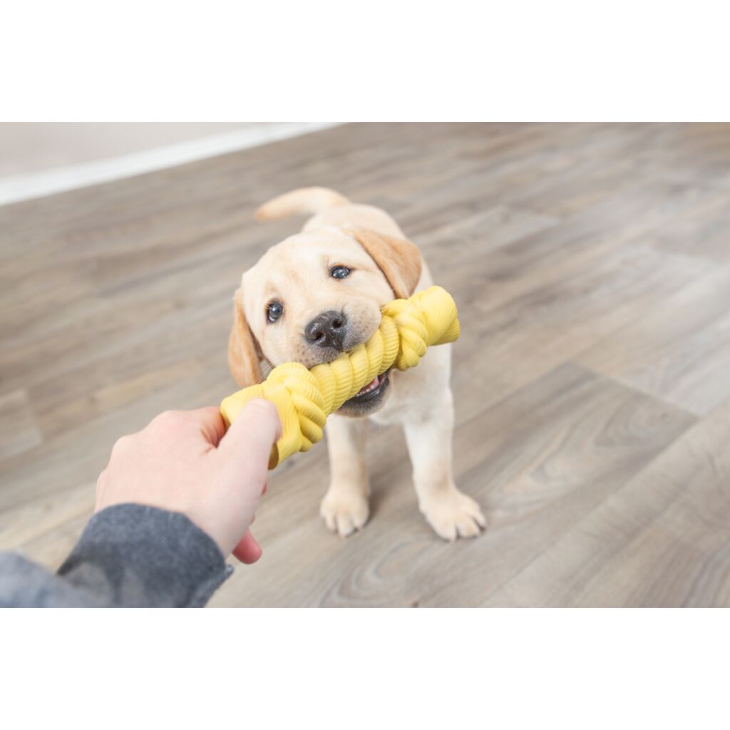 Junior Knister-Tau-Pfoten Feinstes