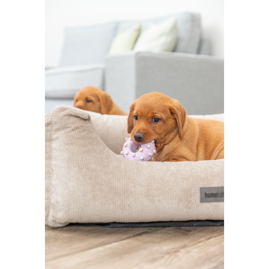 Junior Mini-Ring-Pfoten Feinstes