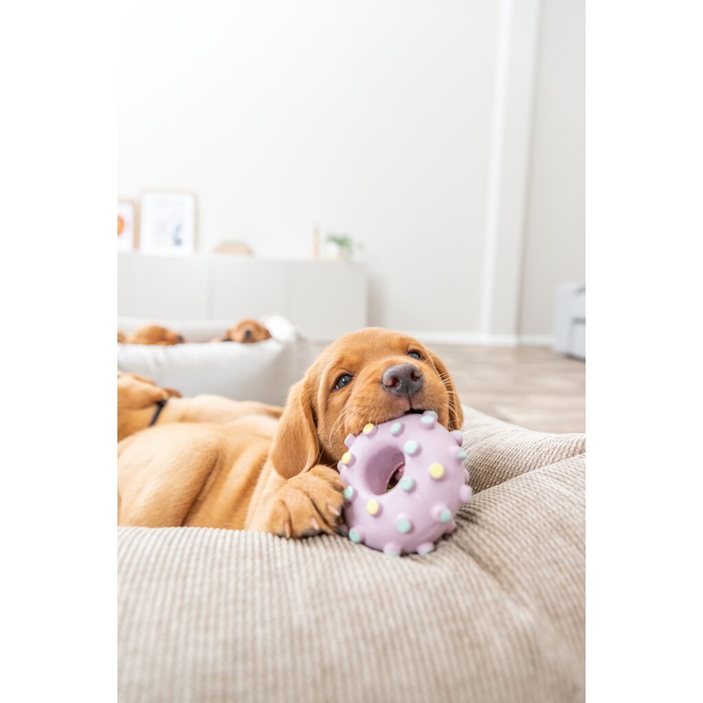 Junior Mini-Ring-Pfoten Feinstes