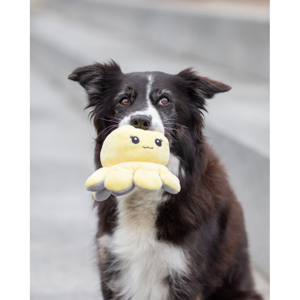 Wende-Oktopus-Pfoten Feinstes