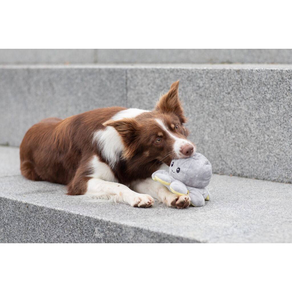 Wende-Oktopus-Pfoten Feinstes