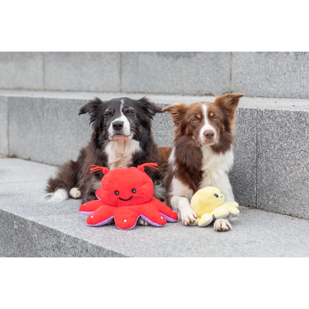 Wende-Oktopus-Pfoten Feinstes