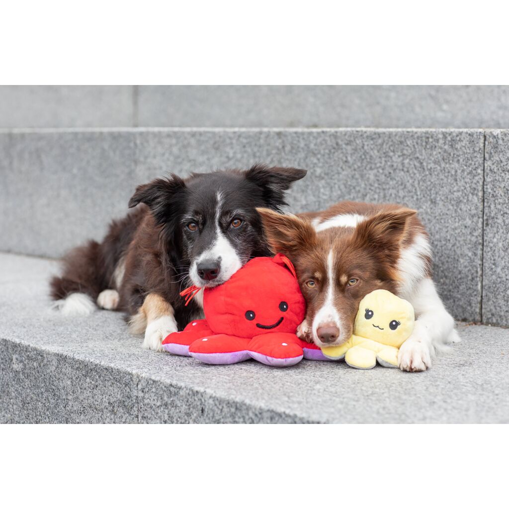 Wende-Oktopus-Pfoten Feinstes