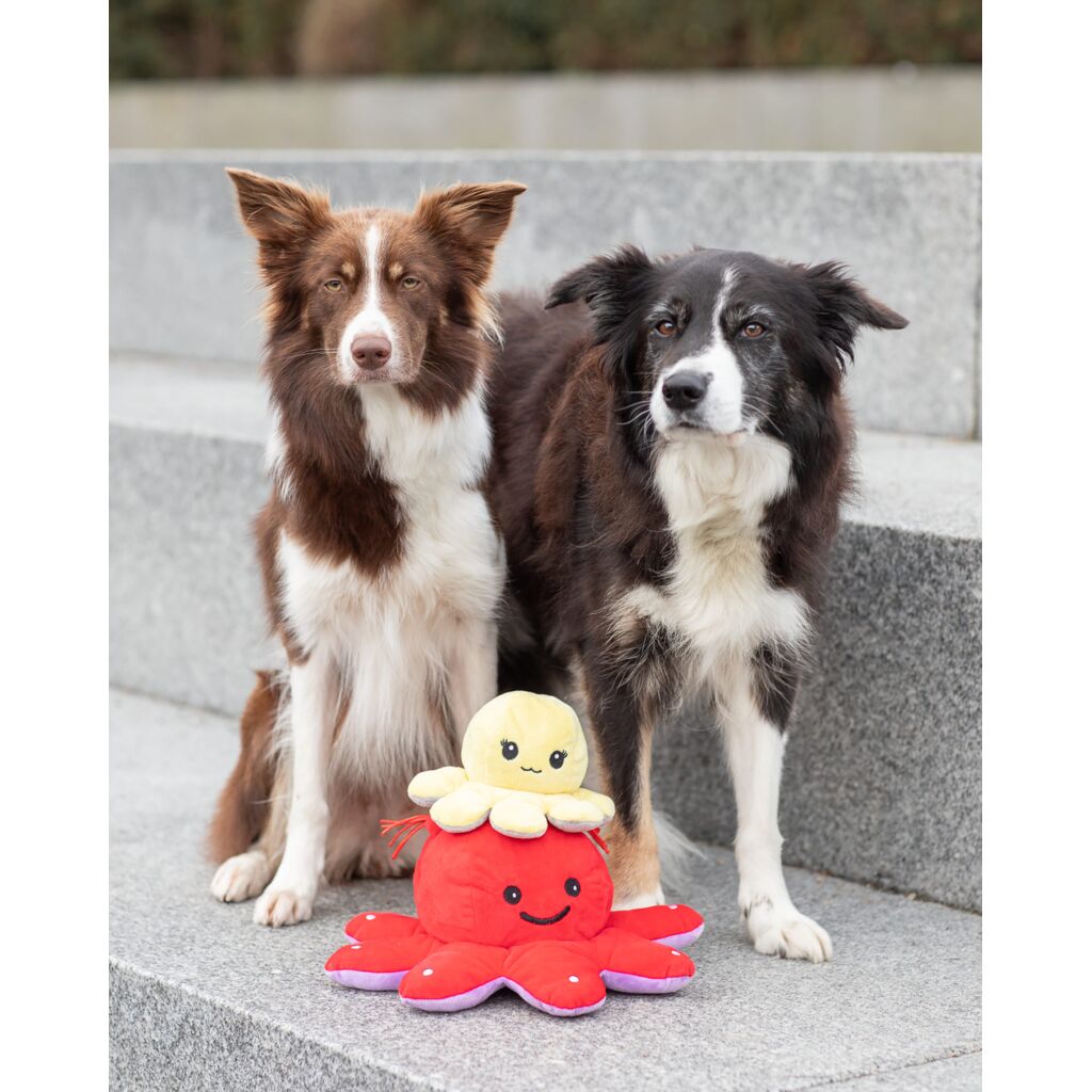 Wende-Oktopus-Pfoten Feinstes