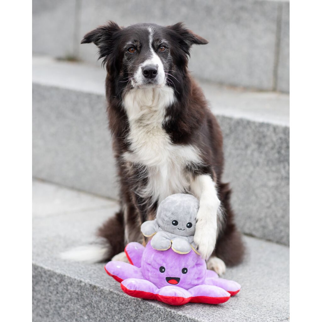 Wende-Oktopus-Pfoten Feinstes