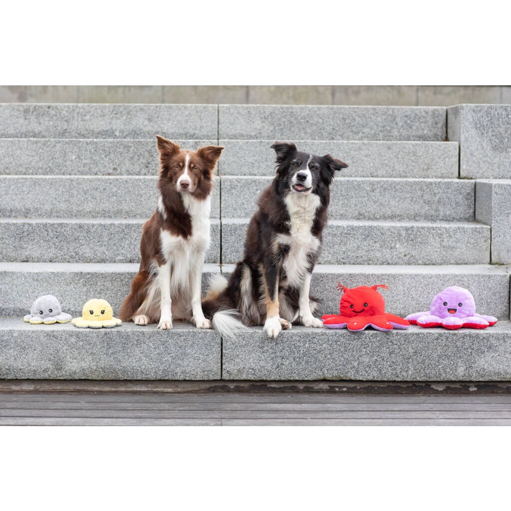 Wende-Oktopus-Pfoten Feinstes