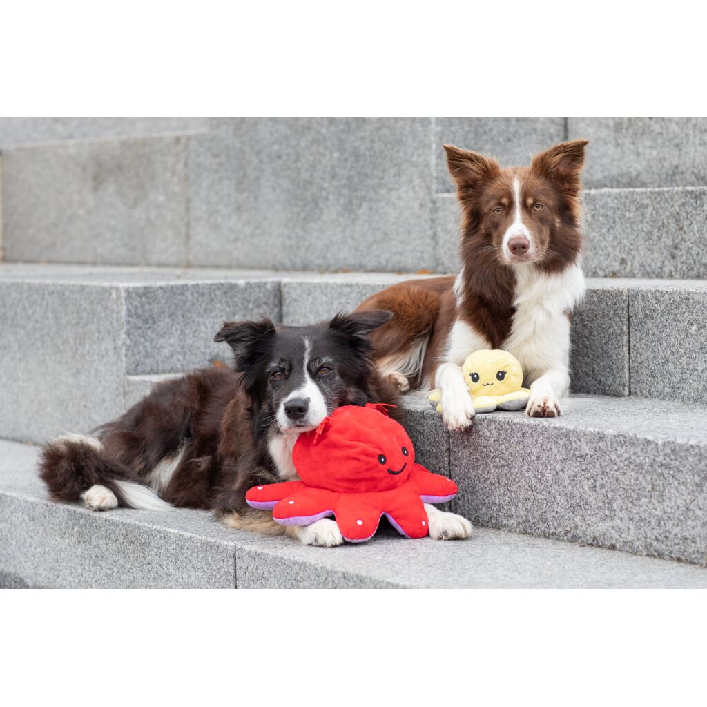 Wende-Oktopus-Pfoten Feinstes