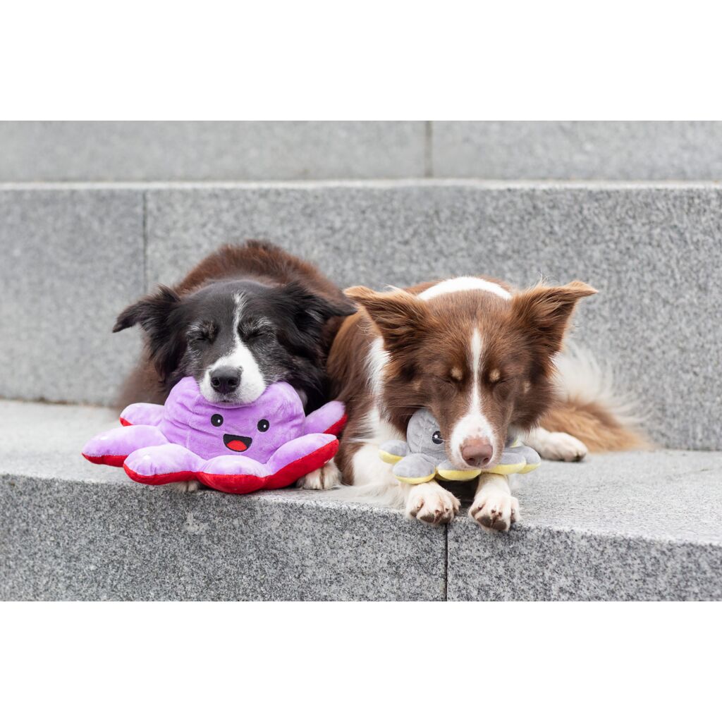 Wende-Oktopus-Pfoten Feinstes