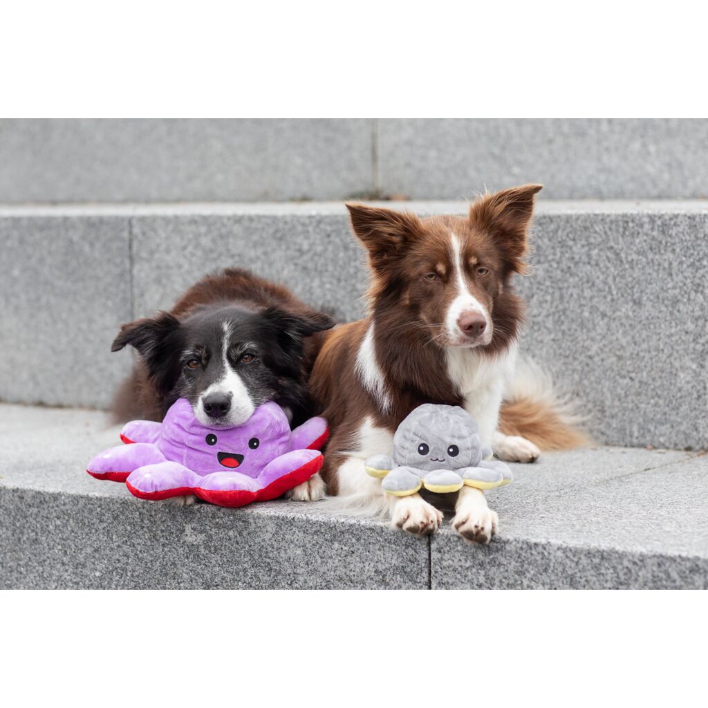 Wende-Oktopus-Pfoten Feinstes