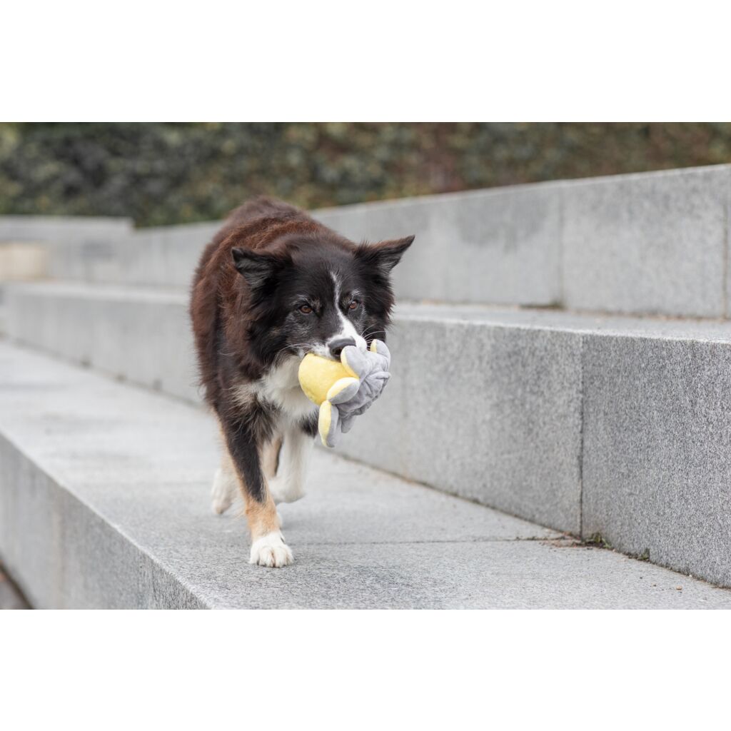 Wende-Oktopus-Pfoten Feinstes