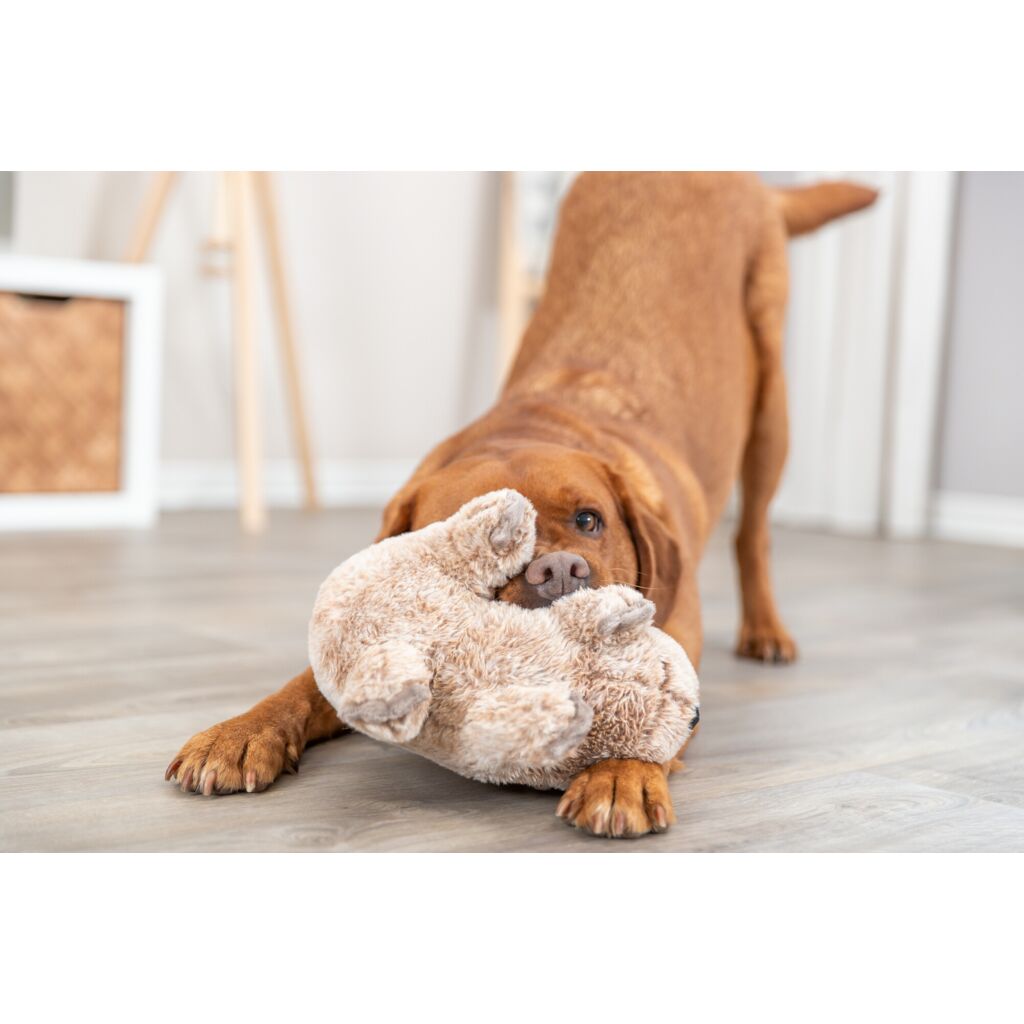 Wombat-Pfoten Feinstes