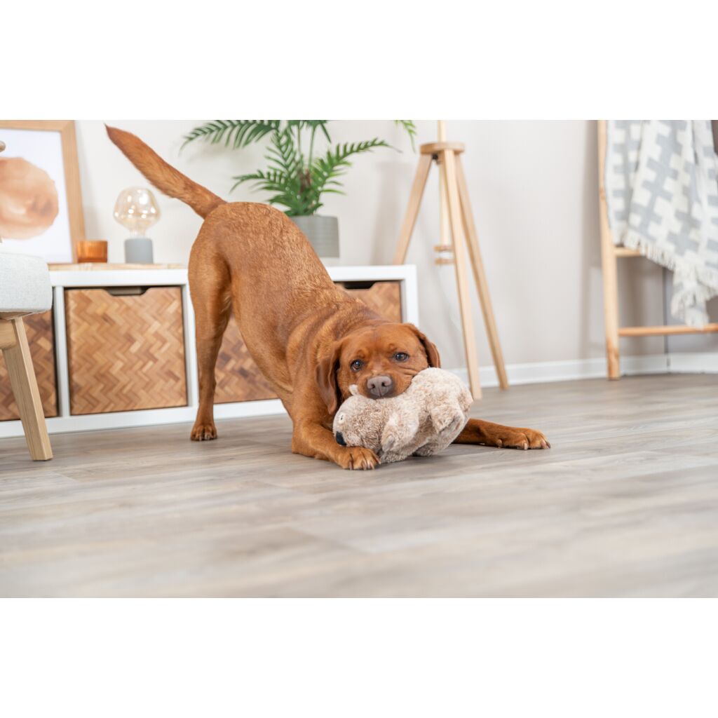 Wombat-Pfoten Feinstes