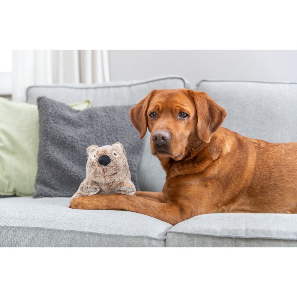 Wombat-Pfoten Feinstes