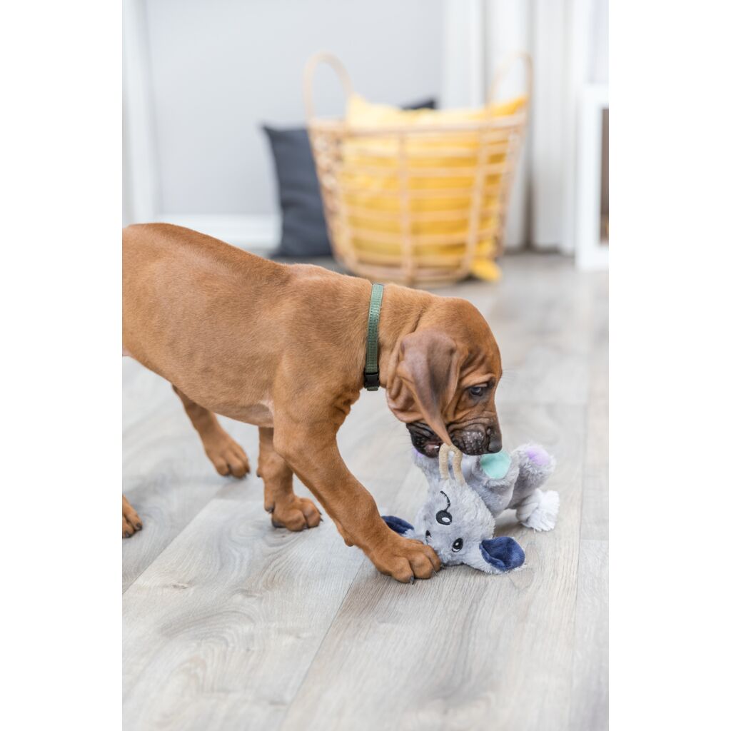 Junior Hund-Pfoten Feinstes