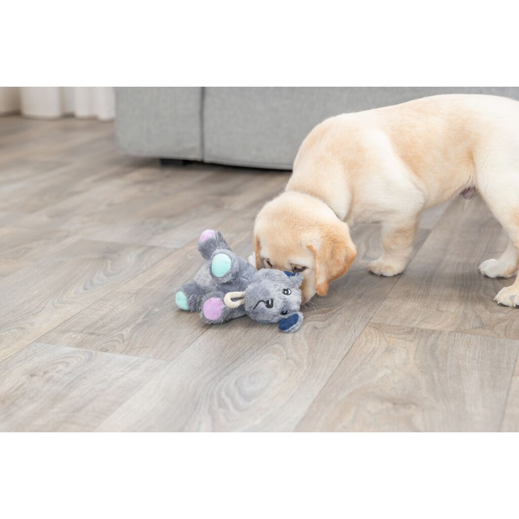 Junior Hund-Pfoten Feinstes