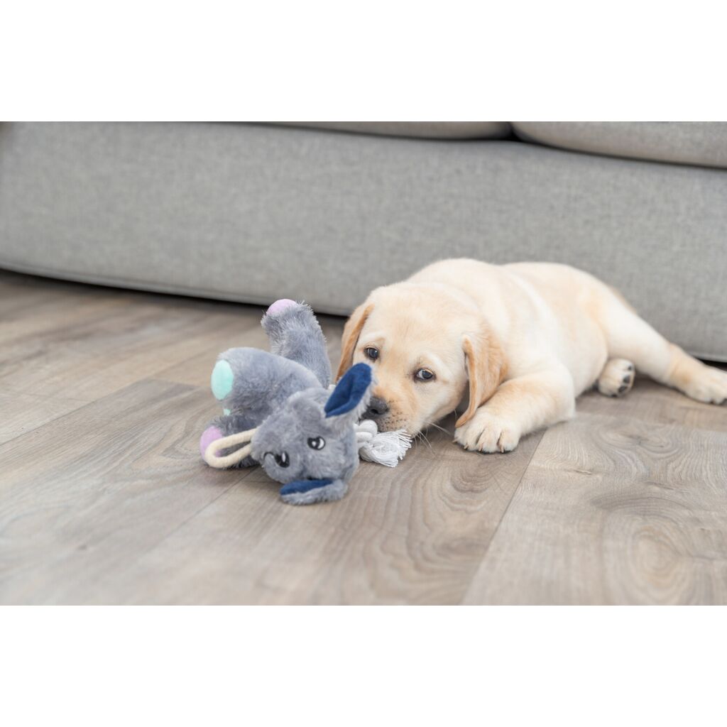 Junior Hund-Pfoten Feinstes