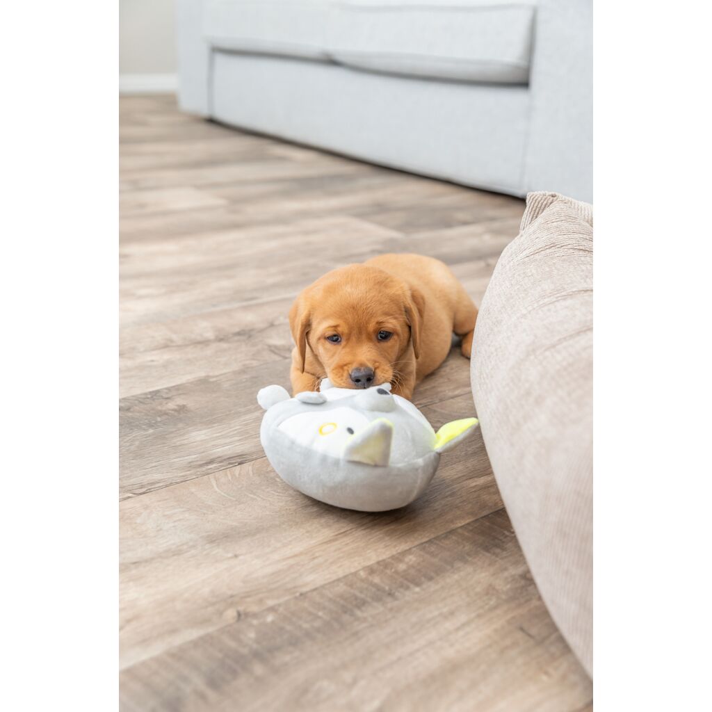 Junior Fuchs-Pfoten Feinstes