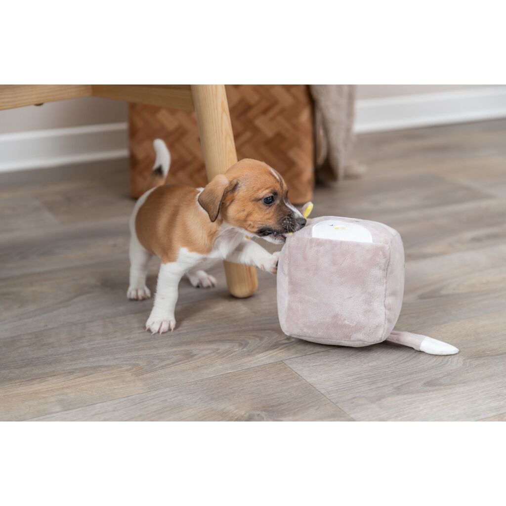 Junior Fuchs-Pfoten Feinstes