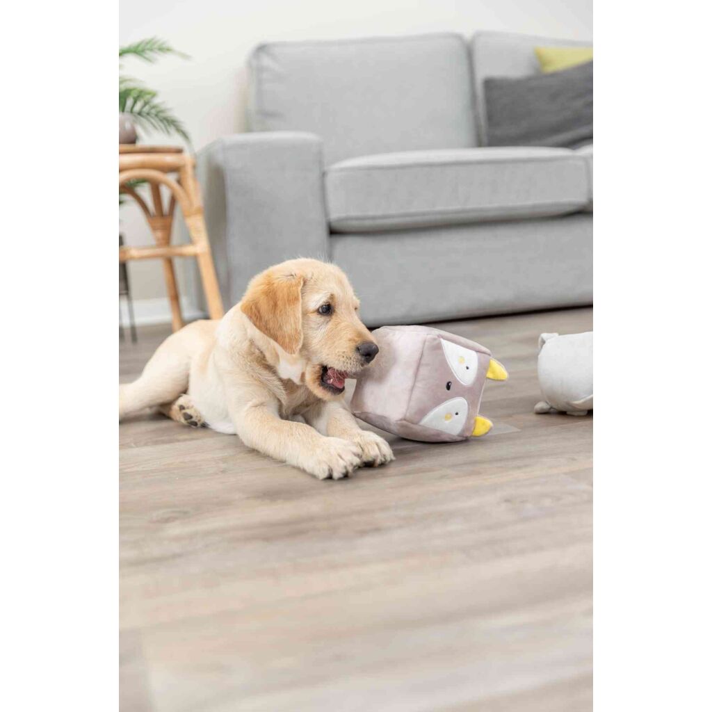 Junior Fuchs-Pfoten Feinstes