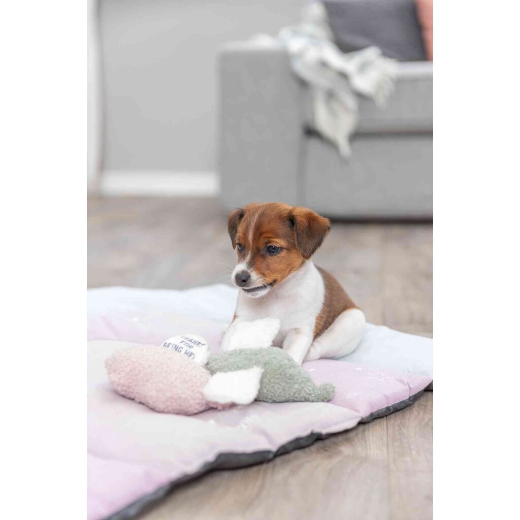 Junior Elefant-Pfoten Feinstes