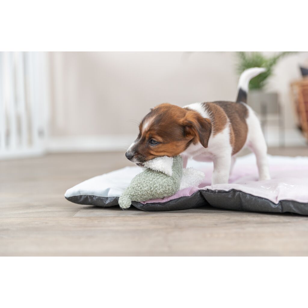 Junior Elefant-Pfoten Feinstes