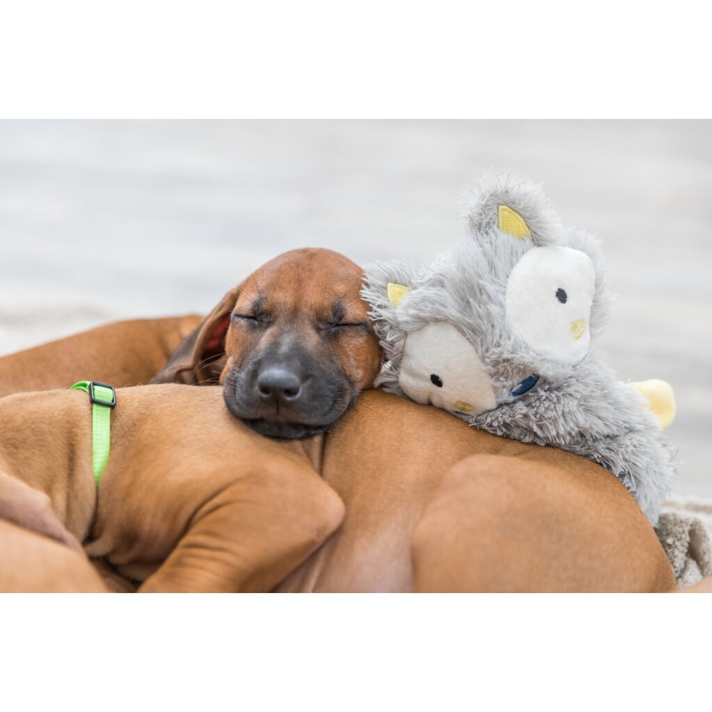 Junior Schlenkertier-Pfoten Feinstes