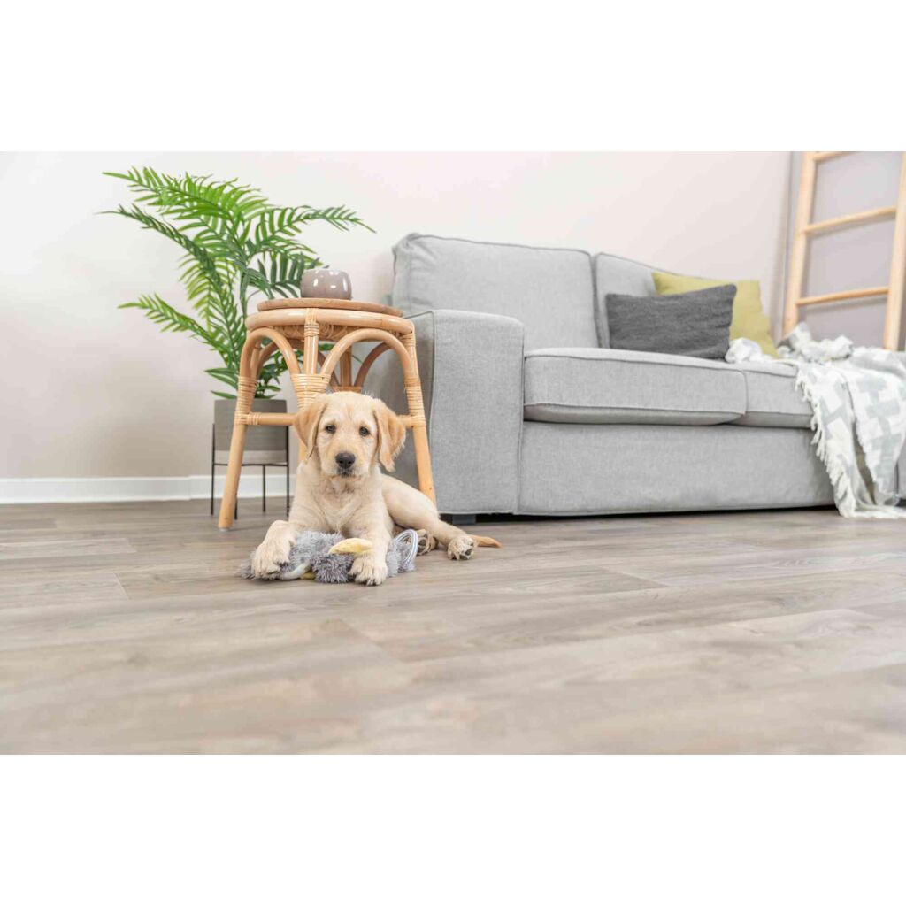 Junior Schlenkertier-Pfoten Feinstes