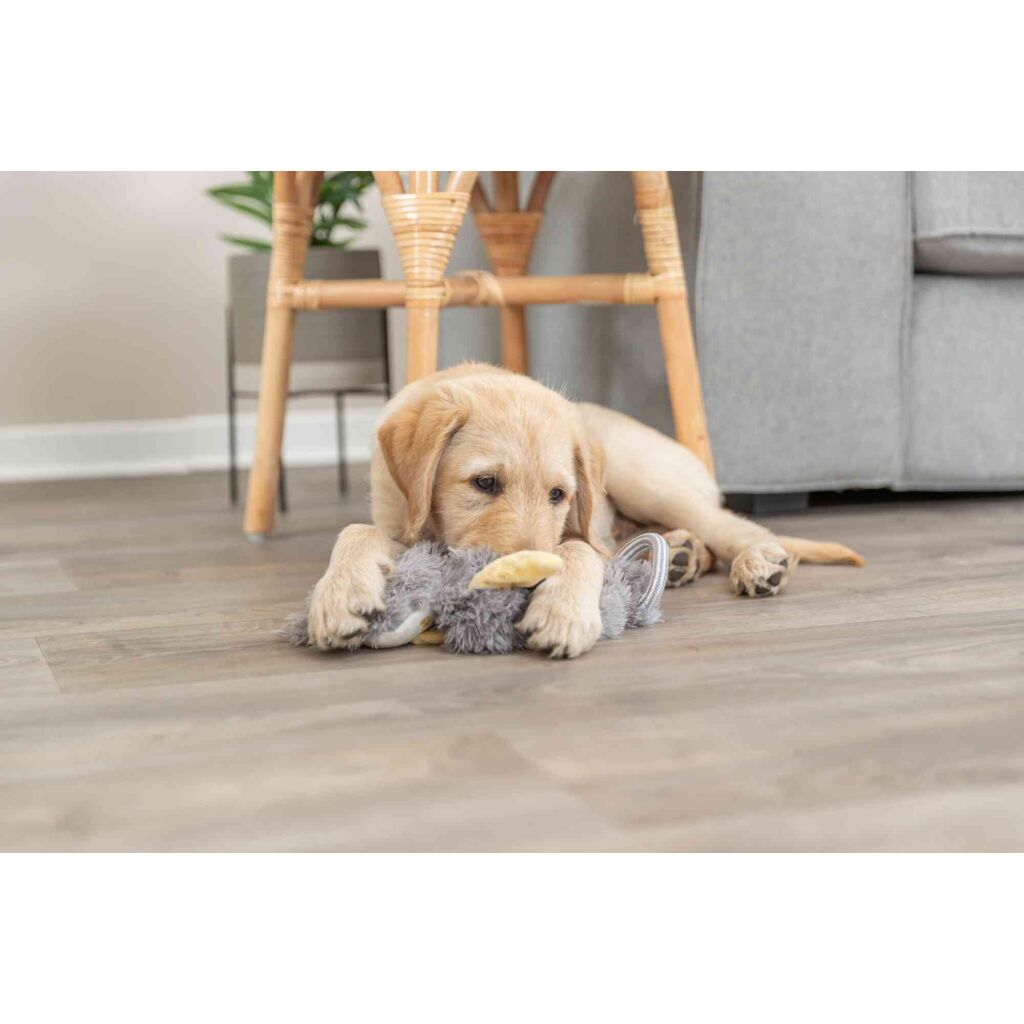 Junior Schlenkertier-Pfoten Feinstes