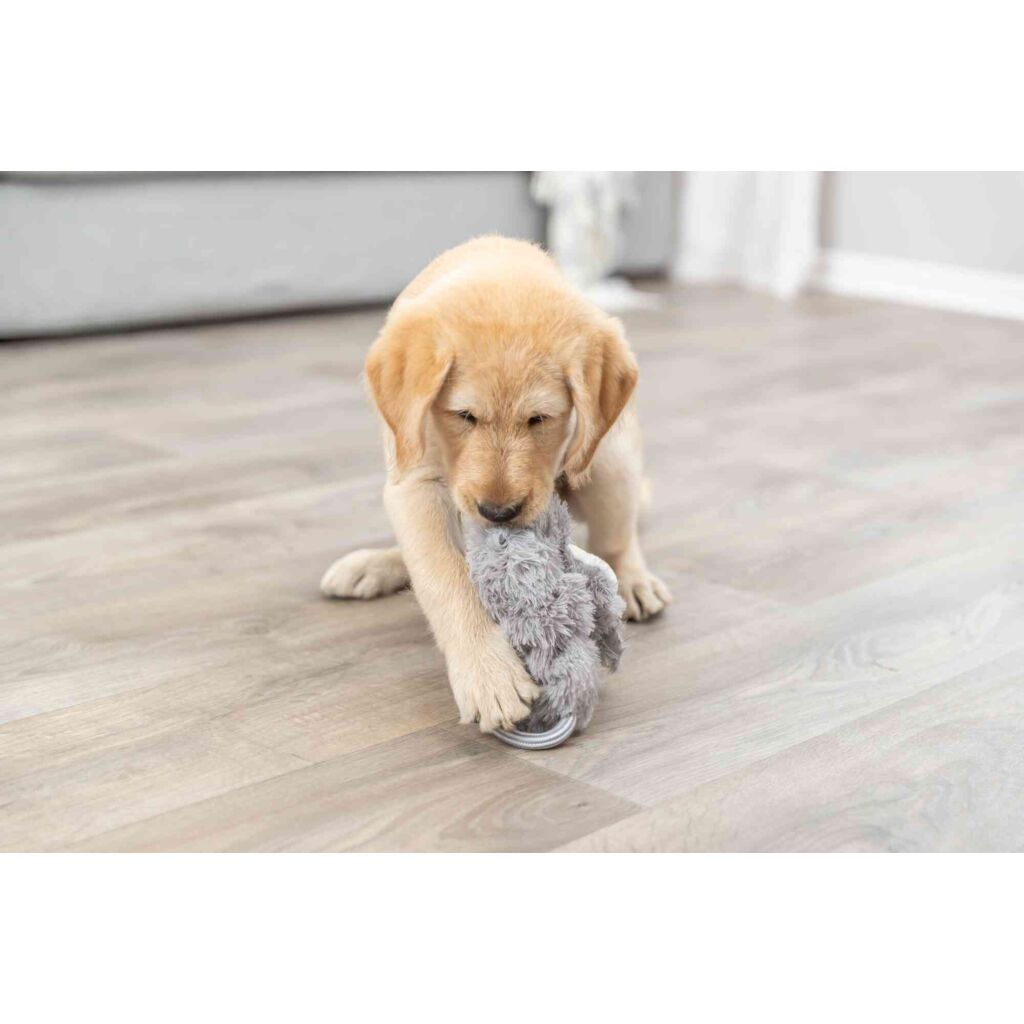 Junior Schlenkertier-Pfoten Feinstes